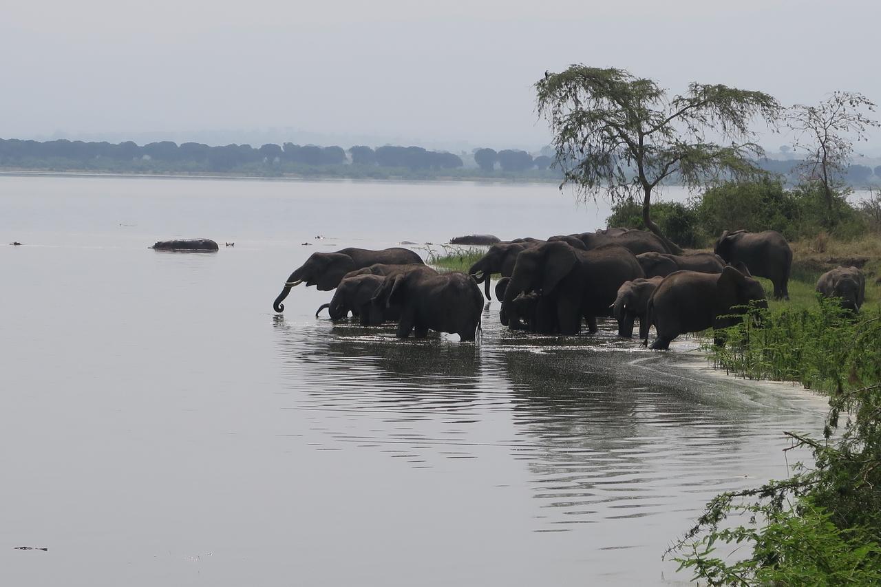 Kasenyi Lake Retreat Lodges & Campsite Kasese Exterior photo