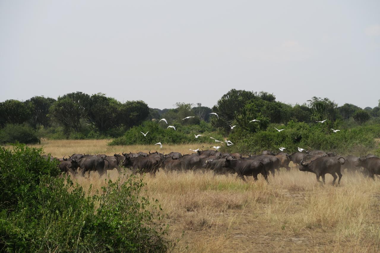 Kasenyi Lake Retreat Lodges & Campsite Kasese Exterior photo
